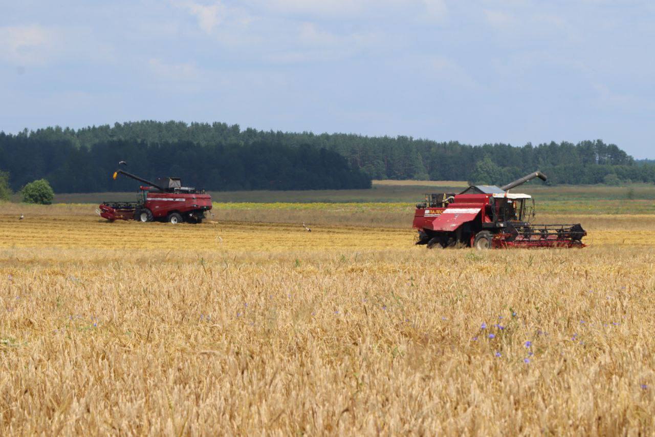 На контроле ход уборочной компании