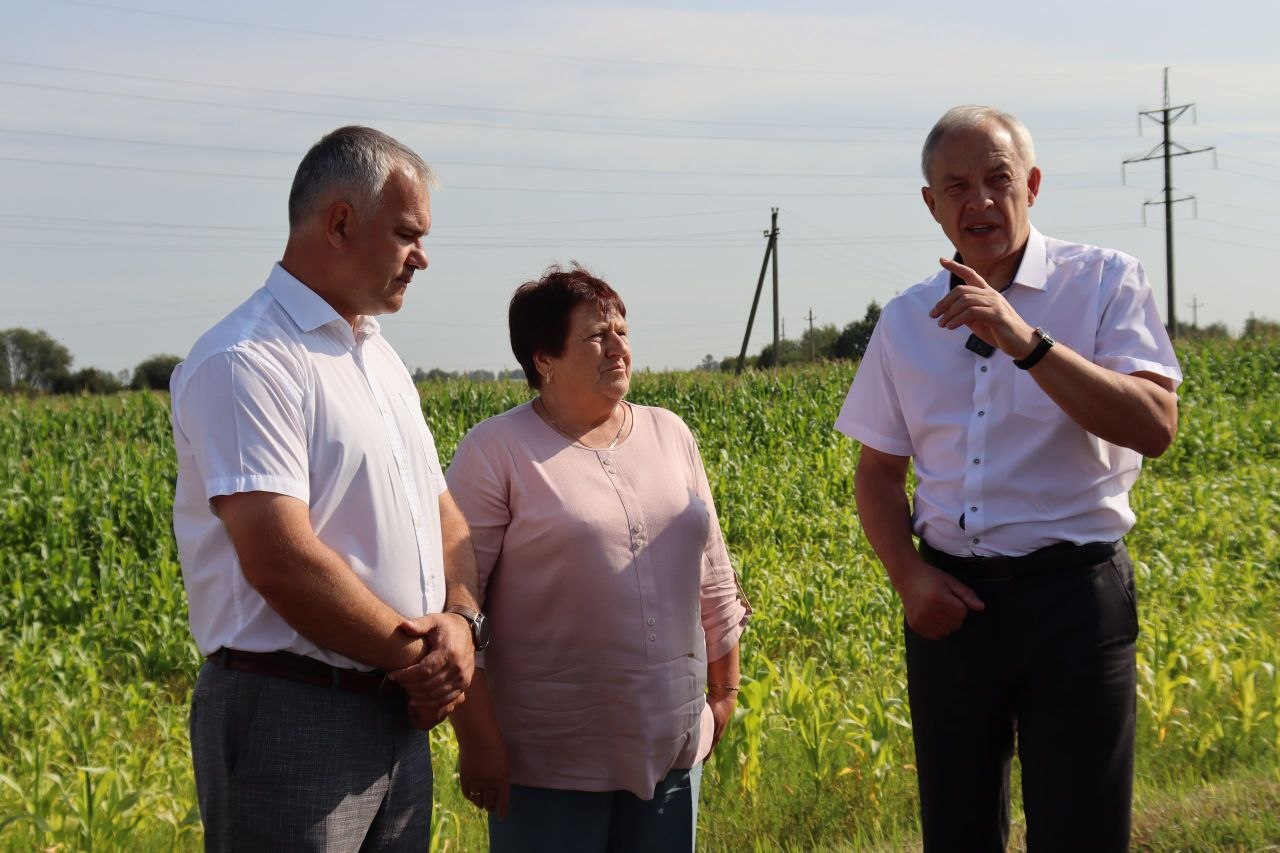 Жніво на кантролі: Ігар Сяргеенка з працоўным візітам наведвае Дубровенскі раён