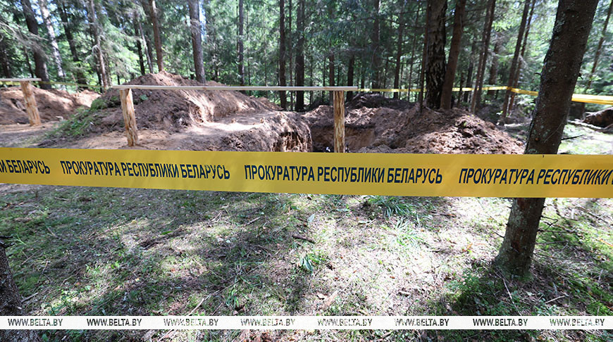 Астанкі больш за 800 чалавек знайшлі ў Полацкім раёне на месцы расстрэлу нацыстамі мірных жыхароў