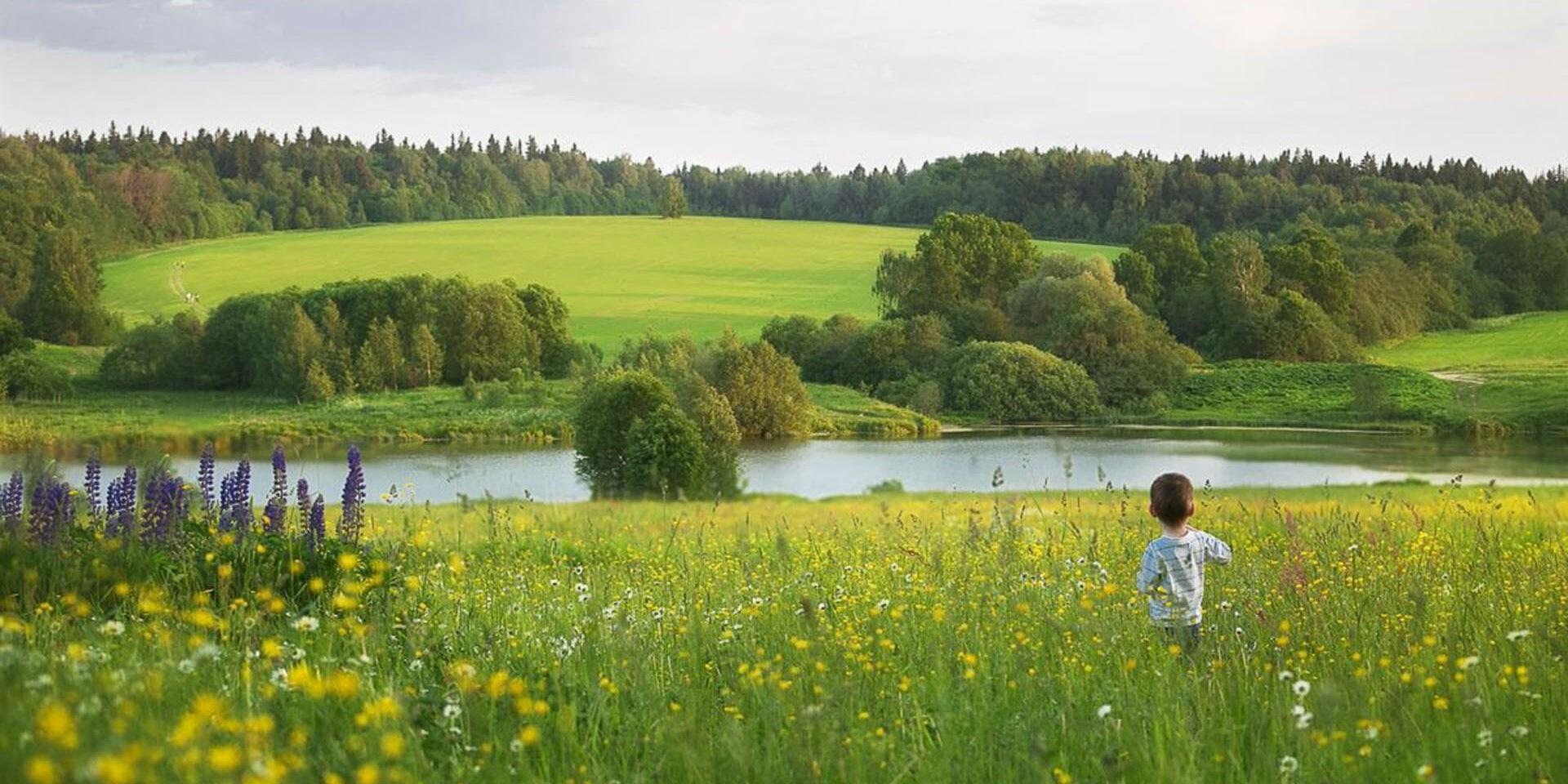 На родной земле – Живи Как Хозяин