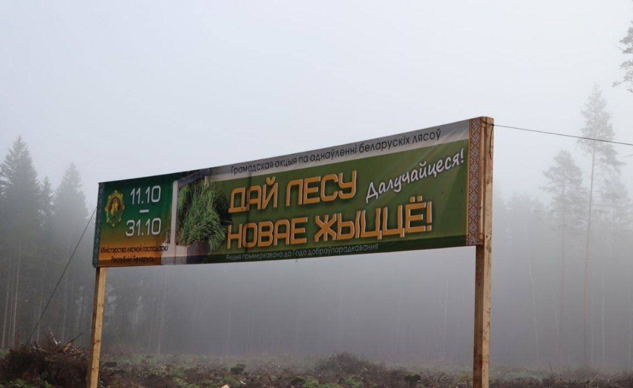 Республиканская акция «Дай лесу новае жыццё!» в Докшицком районе