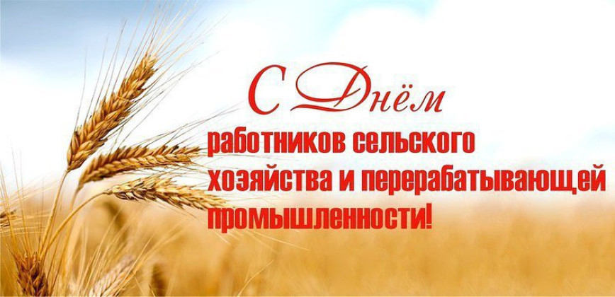 Руководство Докшицкого района адресовало поздравление с Днем работников сельского хозяйства и перерабатывающей промышленности агропромышленного комплекса
