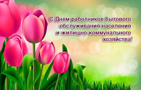 Кіраўніцтва Докшыцкага раёна адрасавала віншаванне з Днём работнікаў бытавога абслугоўвання насельніцтва і жыллёва-камунальнай гаспадаркі