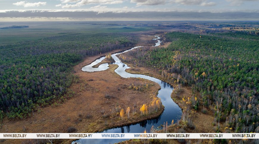Унікальная прыродная тэрыторыя. У Бярэзінскім біясферным запаведніку добраўпарадкавалі Музей мёду 