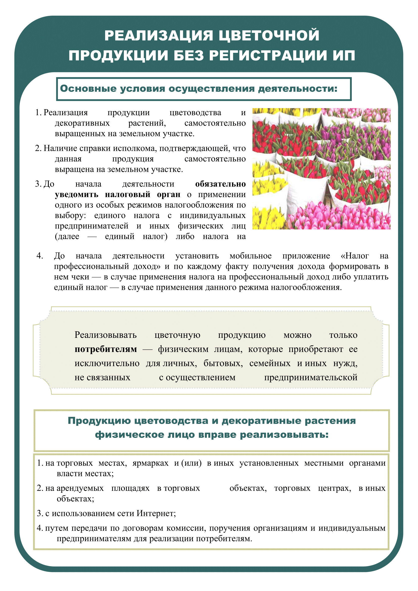 Информация об особенностях физическими лицами деятельности по реализации продукции цветоводства и уплаты налогов